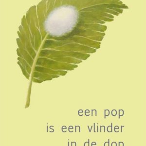 Een Pop Is Een Vlinder In De Dop