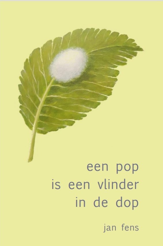 Een Pop Is Een Vlinder In De Dop